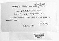 Image Associated With the Occurence